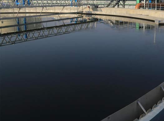 �ɹ�����